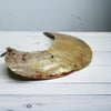 Antique Kina Shell Pectoral Ornament, Papua New Guinea - Rita Okrent Collection (AA459)