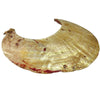 Antique Kina Shell Pectoral Ornament, Papua New Guinea - Rita Okrent Collection (AA459)