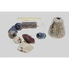 Antique Stone Beads, Shell Pendant and Loom Weight, Anatolia - Rita Okrent Collection (C348c)