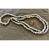 Strand, Ancient Shell Beads - Rita Okrent Collection (AN211a)
