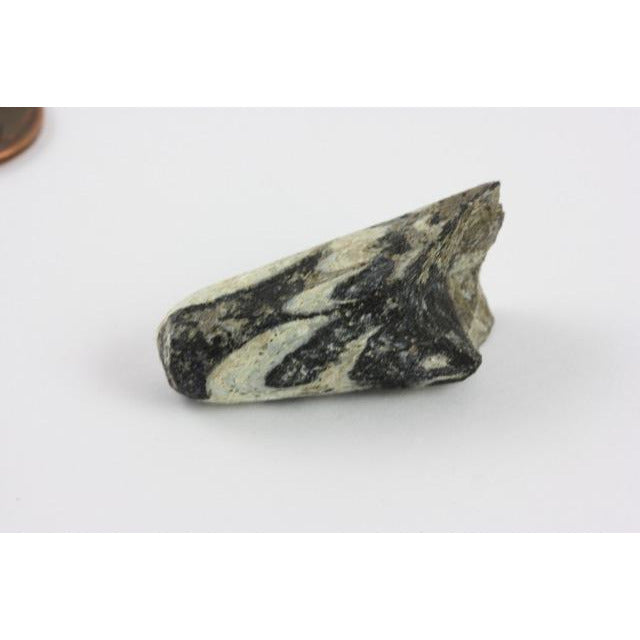 Group of Ancient Beads - Rita Okrent Collection (AN175)