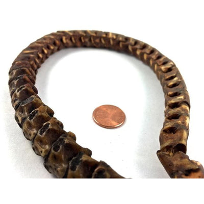 Large Brown Old Snake Vertebrae Beads, Nigeria - AT0969