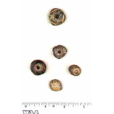 Ancient Phoenician eye bead