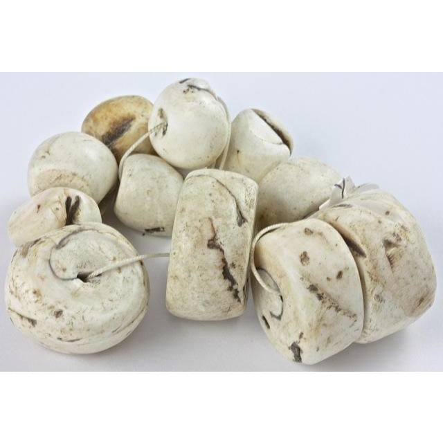 Large Circular Shell Beads, Antique