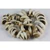 Shell Beads, Antique, African Trade
