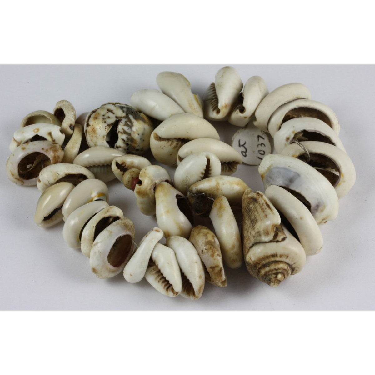 Shell Beads, Antique, African Trade