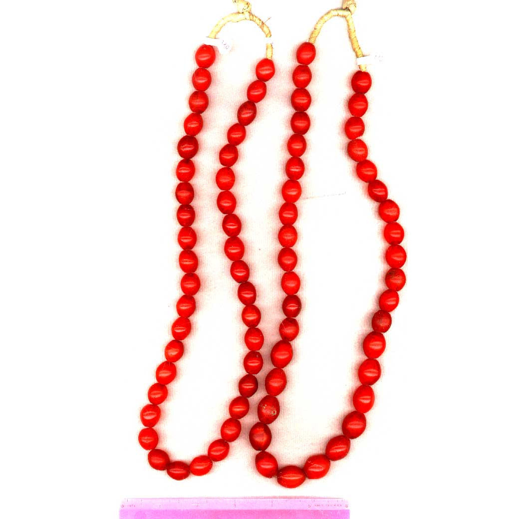 Bohemian pigeon eggs, found in Ethiopia