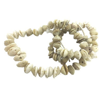 Mauritanian Carved White Conus Shell Beads, West Africa - Rita Okrent Collection (AT0627d)