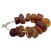 Strand of 13 Baltic Amber Beads from Mauritania - Rita Okrent Collection (C589)