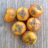 Faux Mended African Amber Beads from the African Trade - Rita Okrent Collection (AT669d)