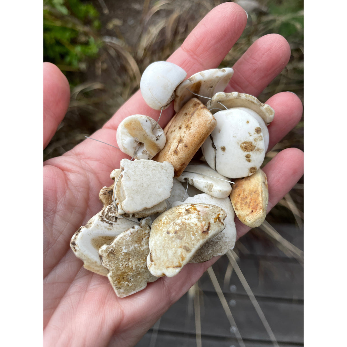 Strand of Ancient Shell Pendants and Beads, Mixed Shapes and Sizes - Rita Okrent Collection (P353b)