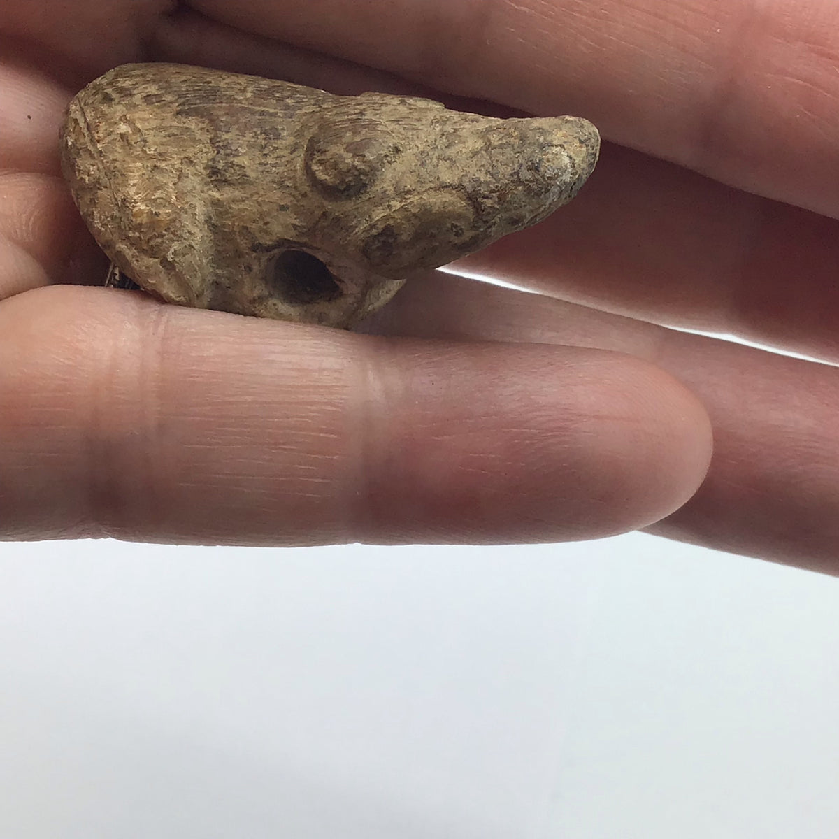 Pre-Columbian Stone Frog Pendant, Peru - Rita Okrent Collection (AN113a)