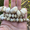Mauritanian Carved White Conus Shell Beads, West Africa - Rita Okrent Collection (AT0627)