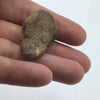 Pre-Columbian Stone Frog Pendant, Peru - Rita Okrent Collection (AN113a)