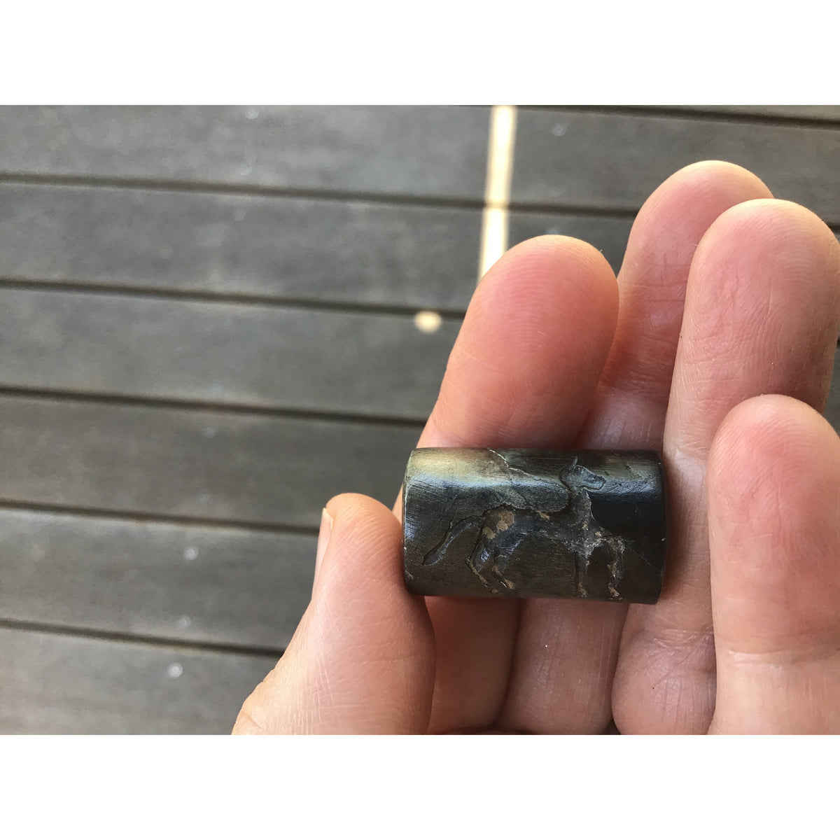 Ancient Stone Cylinder Seal from Egypt - Rita Okrent Collection (AN117c)