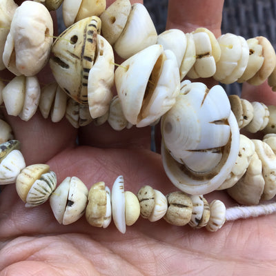 Mauritanian Carved White Conus Shell Beads, West Africa - Rita Okrent Collection (AT0627)